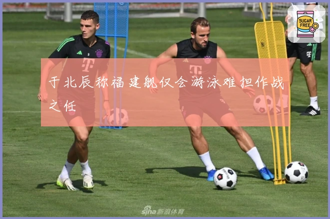 于北辰称福建舰仅会游泳难担作战之任