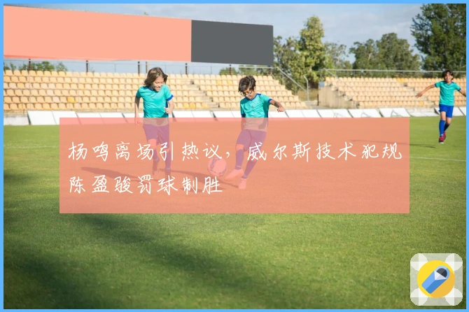 杨鸣离场引热议，威尔斯技术犯规陈盈骏罚球制胜